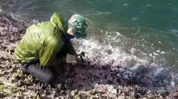 庙湾岛旅游攻略_庙湾岛收费吗_庙湾岛门票多少钱