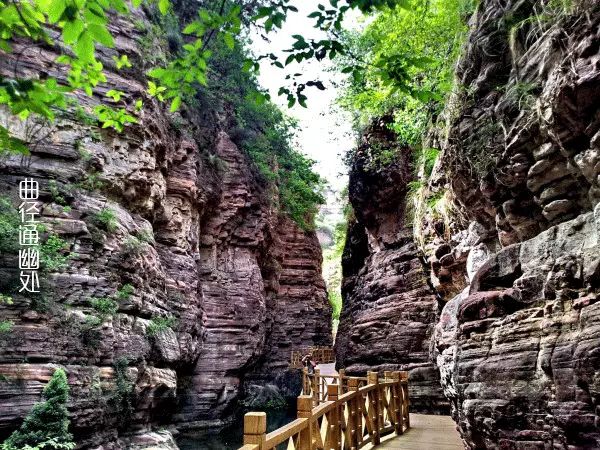 藏山风景区游览路线图_藏山风景区旅游攻略_藏山风景图