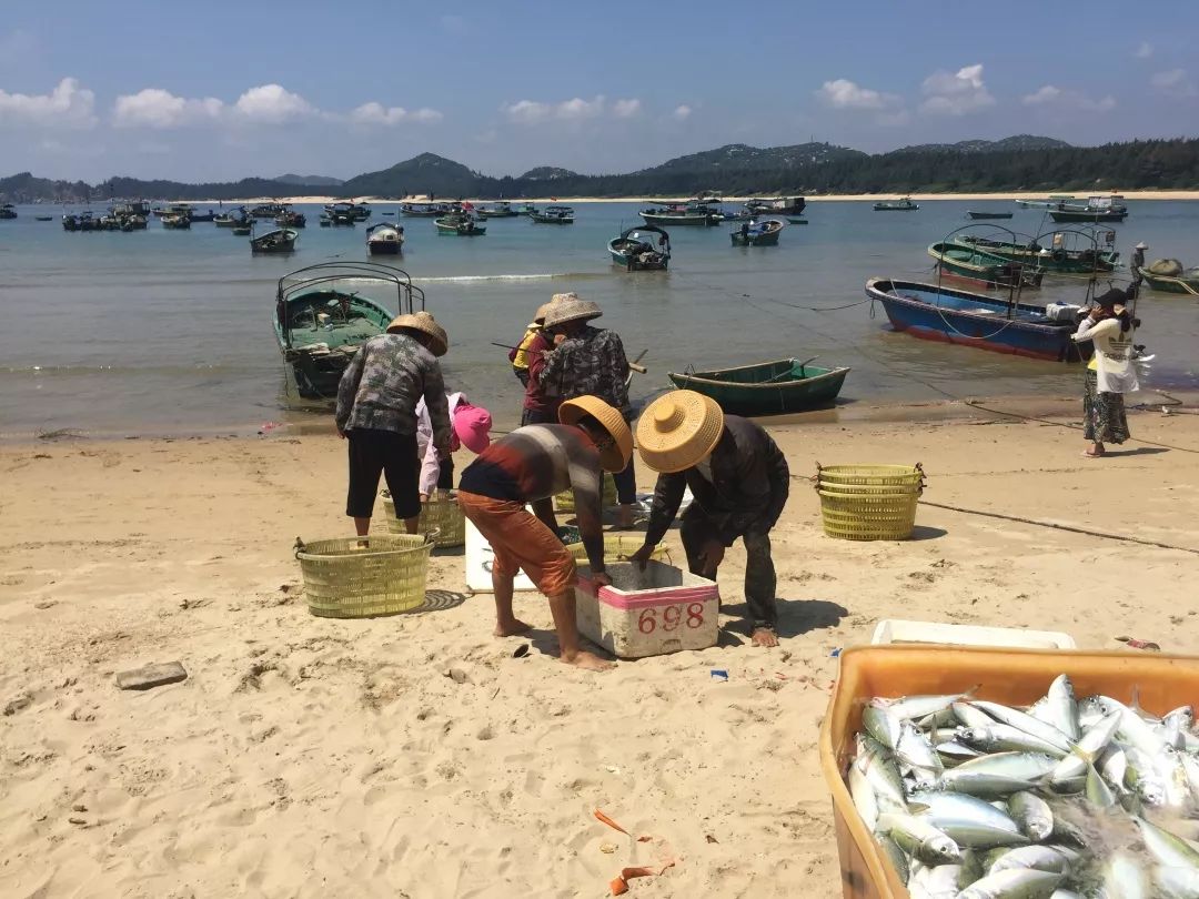 海南攻略东线旅游路线_海南东线旅游攻略_海南东线旅游景点