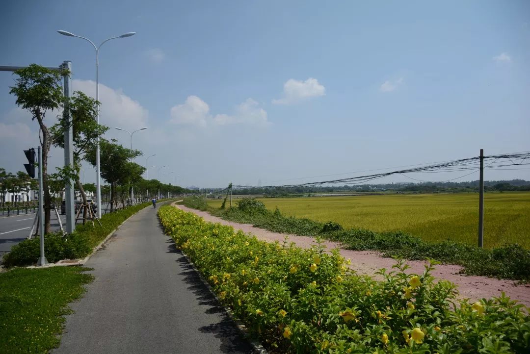 海南攻略东线旅游路线_海南东线旅游攻略_海南东线旅游景点