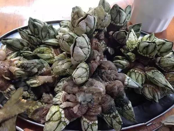 庙湾岛收费吗_庙湾岛旅游攻略_庙湾岛民宿