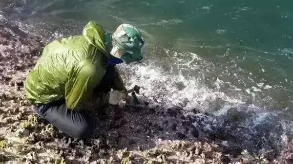 庙湾岛旅游攻略_庙湾岛民宿_庙湾岛收费吗