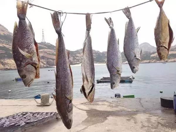 庙湾岛民宿_庙湾岛收费吗_庙湾岛旅游攻略