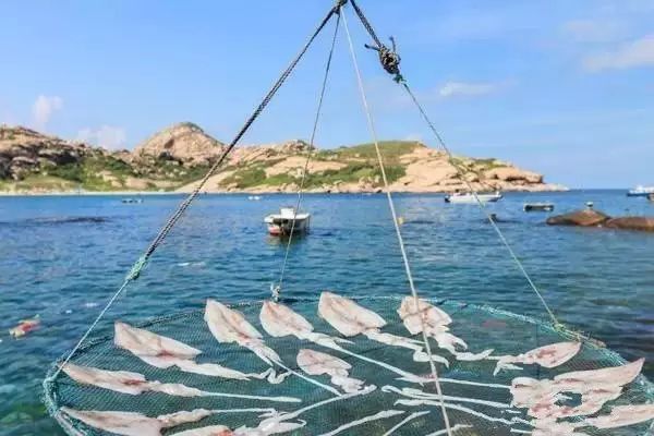 庙湾岛旅游攻略_庙湾岛民宿_庙湾岛收费吗