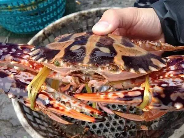 庙湾岛收费吗_庙湾岛民宿_庙湾岛旅游攻略