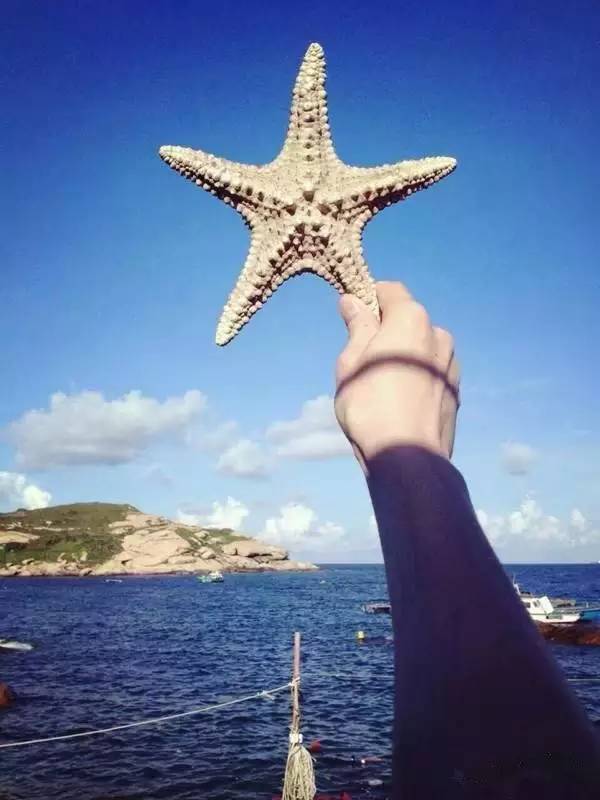 庙湾岛收费吗_庙湾岛民宿_庙湾岛旅游攻略
