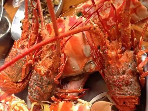 庙湾岛旅游攻略_庙湾岛收费吗_庙湾岛民宿