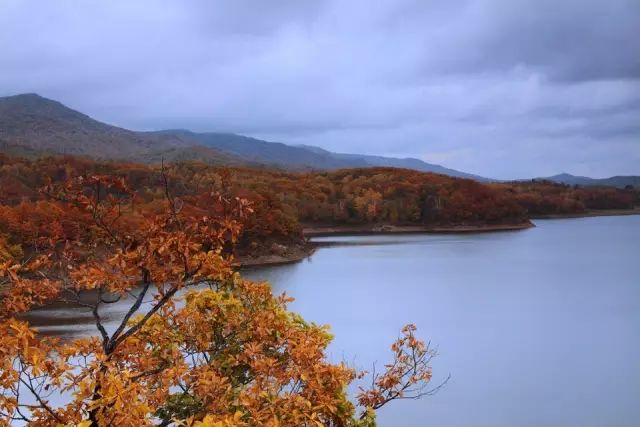 璧山青龙湖公园游玩攻略_璧山青龙湖公园好耍不_璧山青龙湖旅游攻略