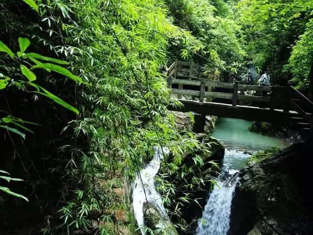 璧山青龙湖旅游攻略_璧山青龙湖公园好耍不_璧山青龙湖公园游玩攻略