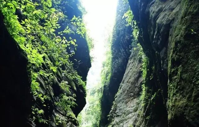 璧山青龙湖公园游玩攻略_璧山青龙湖公园好耍不_璧山青龙湖旅游攻略