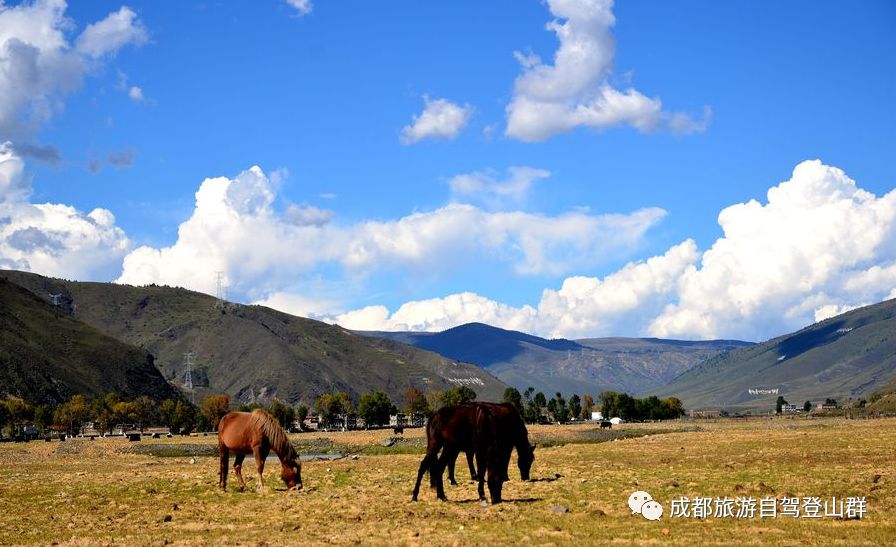 若尔盖花湖好玩吗_若尔盖花湖旅游攻略_若尔盖花湖地图上面的位置