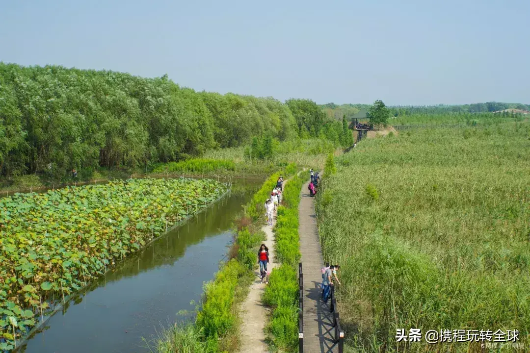 从苏州去嵊泗岛自助游攻略_苏州到嵊泗旅游攻略_苏州到嵊泗列岛游玩攻略