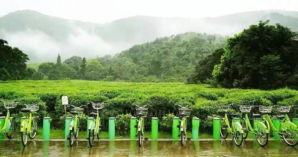 树山旅游攻略_树山一日游作文_树山徒步攻略