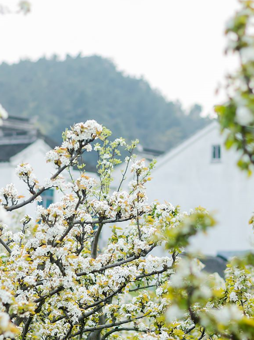 树山旅游攻略_树山徒步攻略_树山一日游作文