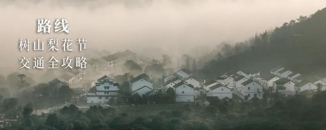 树山旅游攻略_树山一日游作文_树山徒步攻略