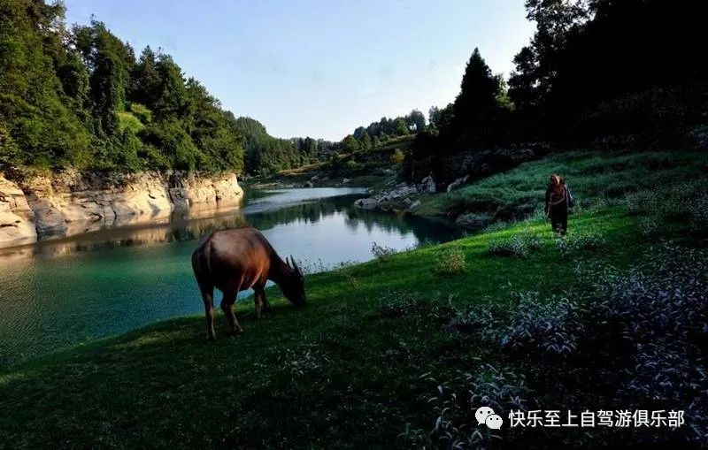 重庆阆中古城一日游_重庆去阆中旅游二日游跟团_重庆至阆中旅游攻略