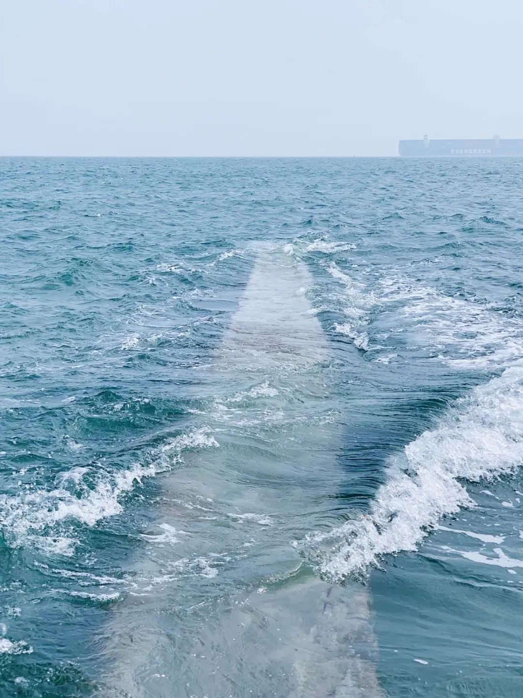 鼓浪屿旅游美食攻略_鼓浪屿景点攻略_鼓浪屿游玩攻略