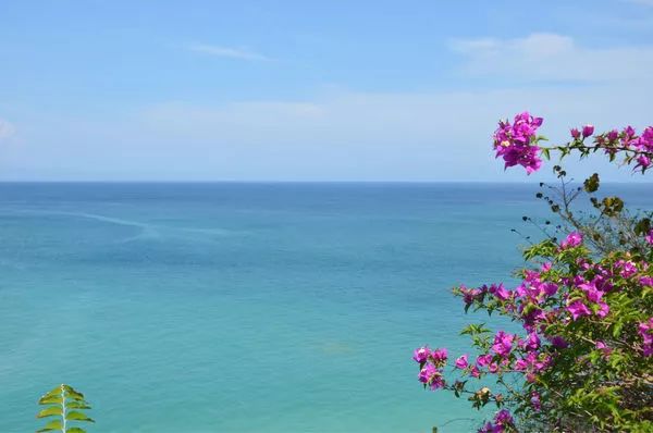 大亚湾景点旅游攻略_大亚湾旅游攻略自助游_大亚湾旅游攻略