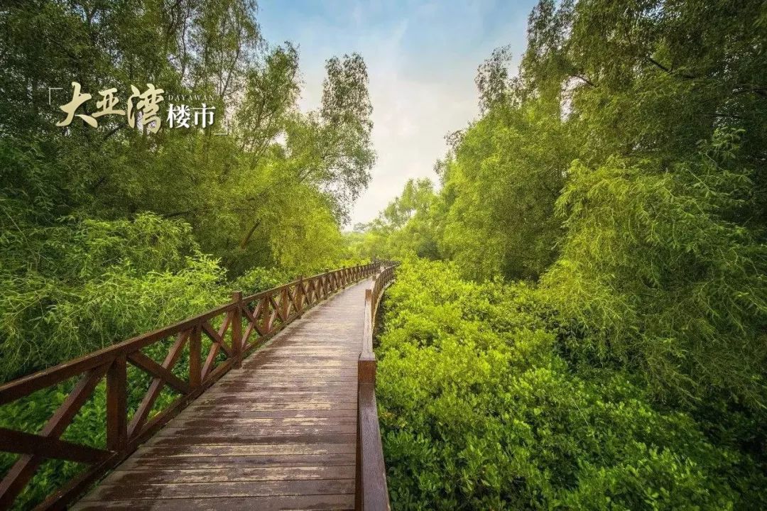 大亚湾自由行攻略_大亚湾旅游攻略_大亚湾旅游景点哪里好玩