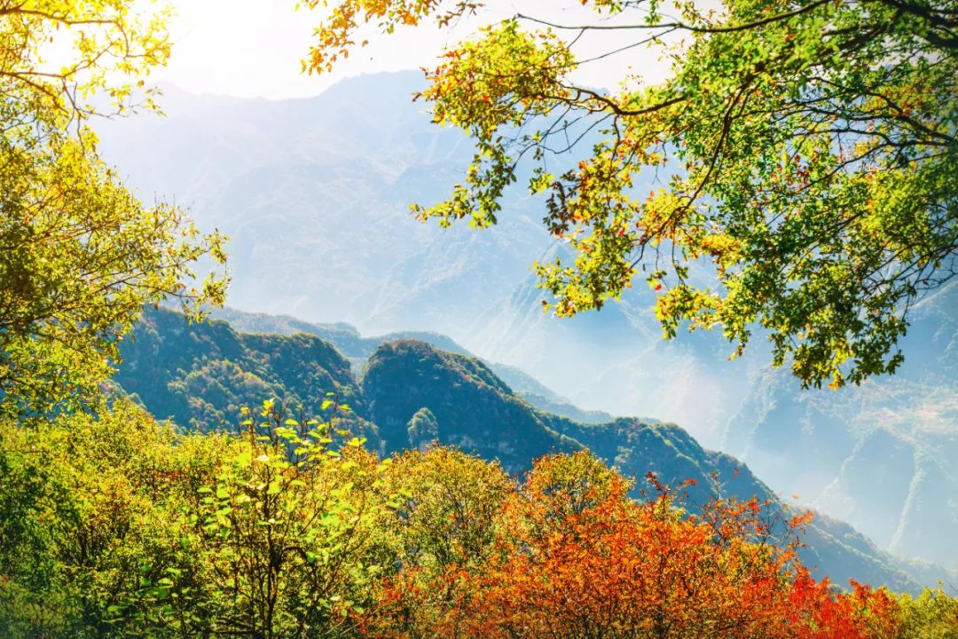 陕西省华山旅游攻略_陕西省华山旅游景点_陕西少华山旅游攻略
