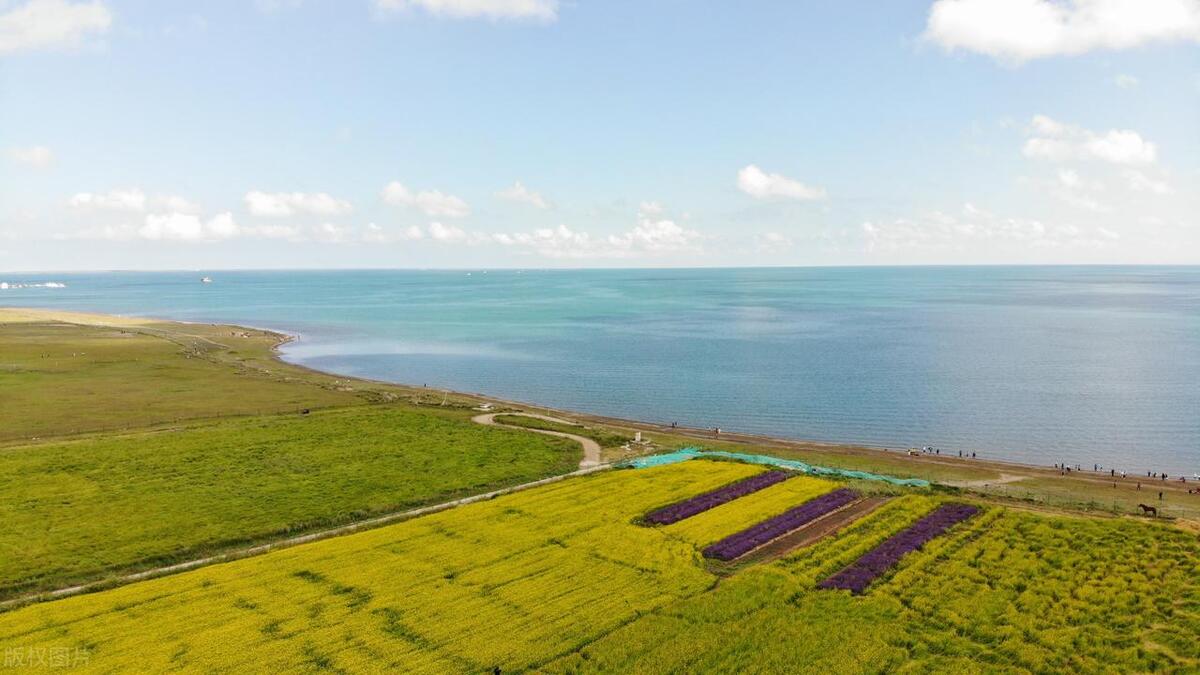 张掖自驾青海湖旅游攻略_张掖到青海湖旅游攻略_张掖到青海湖自驾游