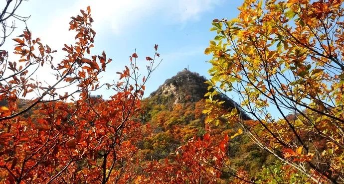 蔚县小五台山旅游景点_蔚县小五台山旅游攻略_蔚县小五台山好玩吗