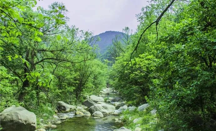 蔚县小五台山好玩吗_蔚县小五台山旅游景点_蔚县小五台山旅游攻略