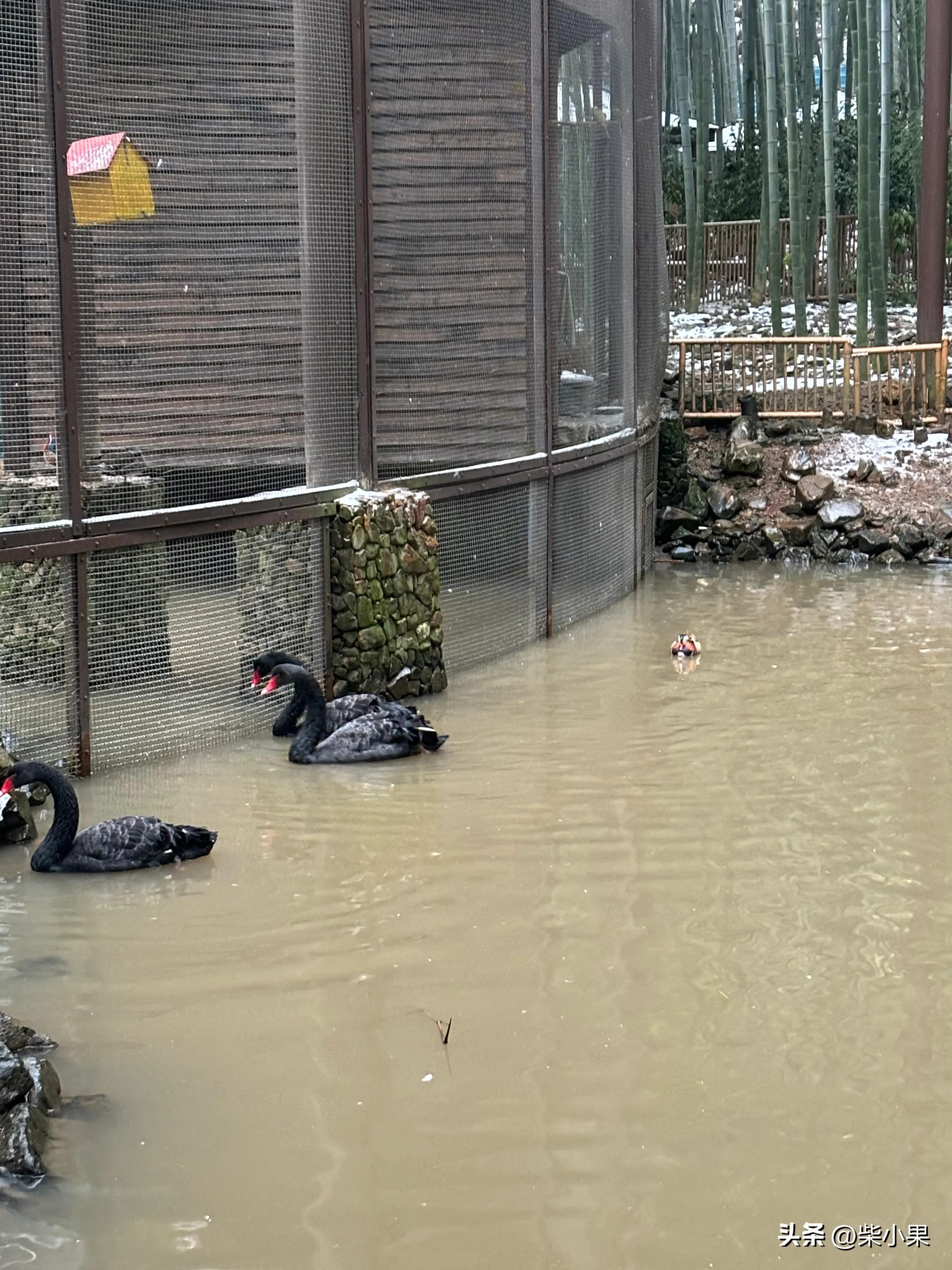 江苏溧阳旅游攻略_江苏溧阳旅游景点_溧阳旅游推荐