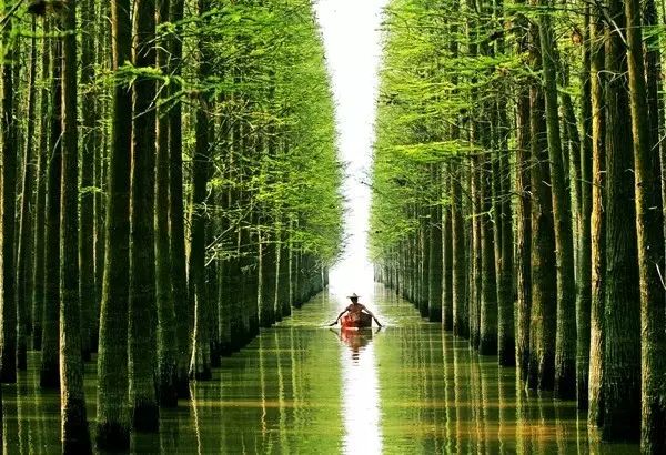 浙江临安旅游攻略_临安攻略_临安旅游线路