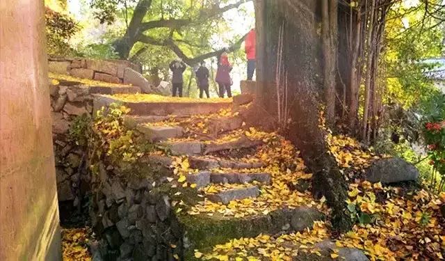 临安攻略_临安旅游线路_浙江临安旅游攻略