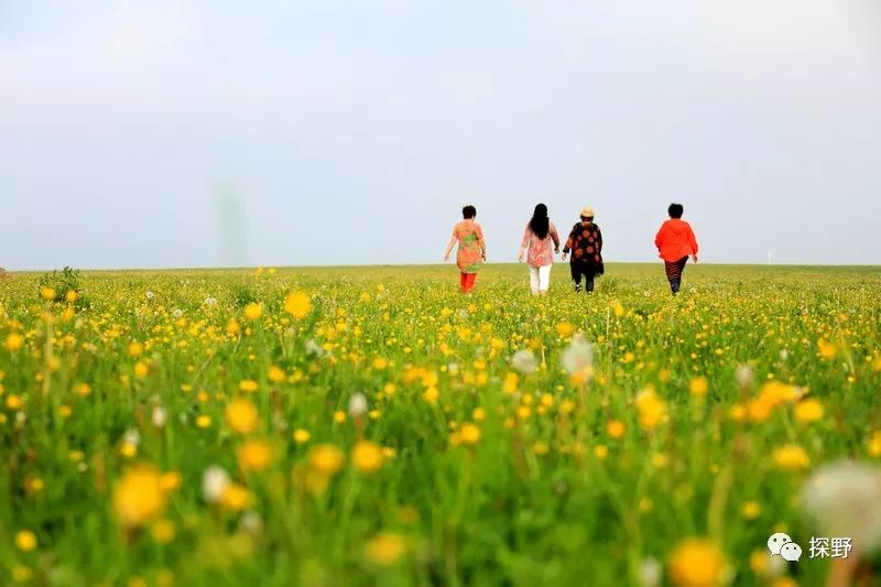 蔚县小五台山旅游景点_蔚县小五台山旅游攻略_蔚县小五台山好玩吗