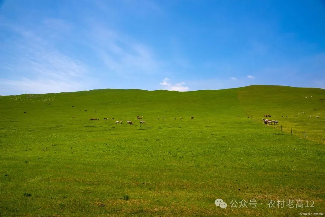 承德坝上景点_承德坝上旅游攻略2天_承德坝上旅游攻略两日游