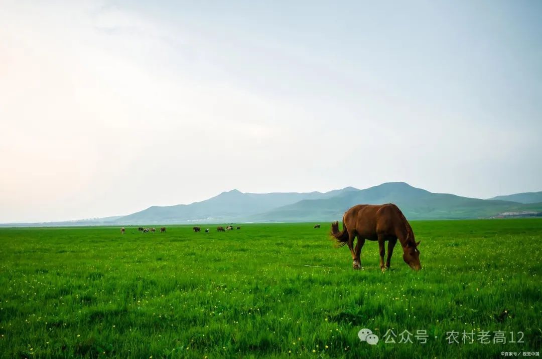 承德坝上景点_承德坝上旅游攻略两日游_承德坝上旅游攻略2天