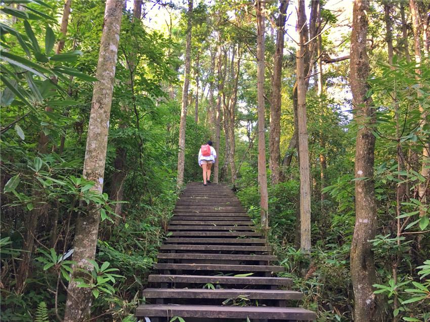 上海天目山_天目山路到西溪路_上海到西天目山旅游攻略