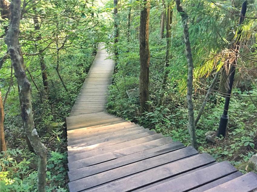 天目山路到西溪路_上海天目山_上海到西天目山旅游攻略