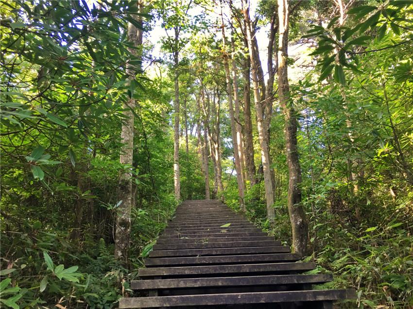 天目山路到西溪路_上海到西天目山旅游攻略_上海天目山