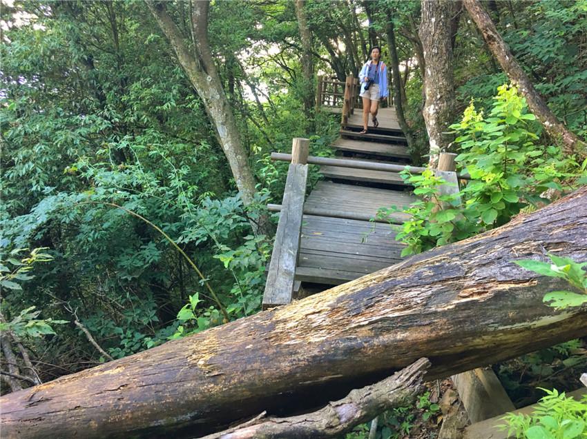 上海天目山_上海到西天目山旅游攻略_天目山路到西溪路