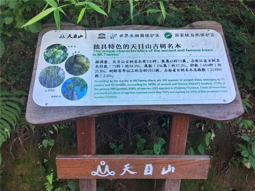 天目山路到西溪路_上海天目山_上海到西天目山旅游攻略