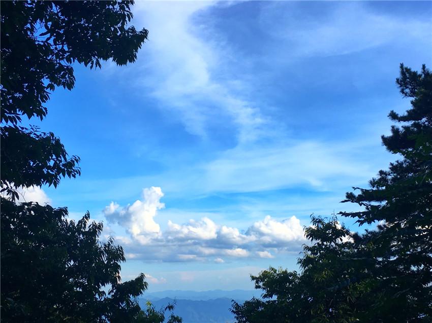 上海天目山_天目山路到西溪路_上海到西天目山旅游攻略