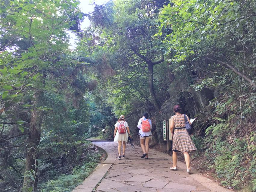 上海到西天目山旅游攻略_天目山路到西溪路_上海天目山