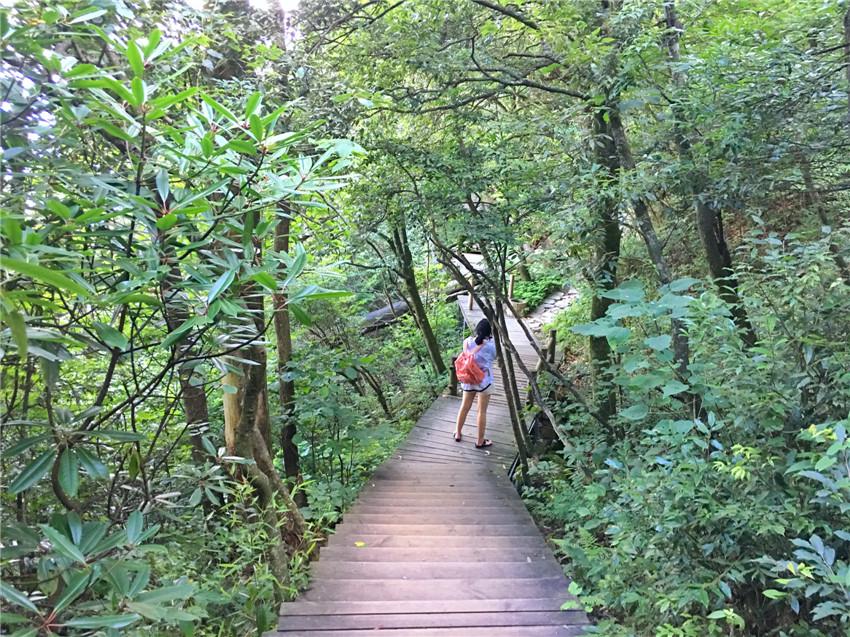 上海到西天目山旅游攻略_天目山路到西溪路_上海天目山