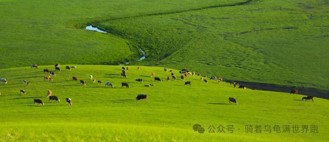 多伦草原自驾游_内蒙古多伦草原民宿_内蒙多伦草原旅游攻略