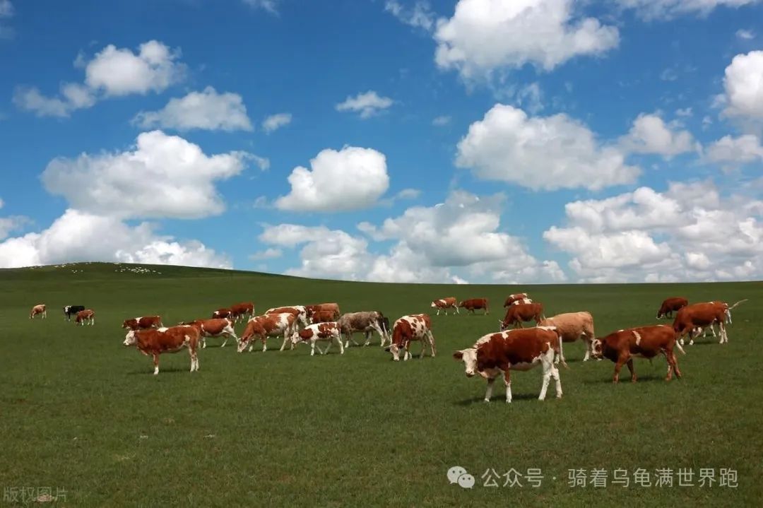 内蒙古多伦草原民宿_多伦草原自驾游_内蒙多伦草原旅游攻略