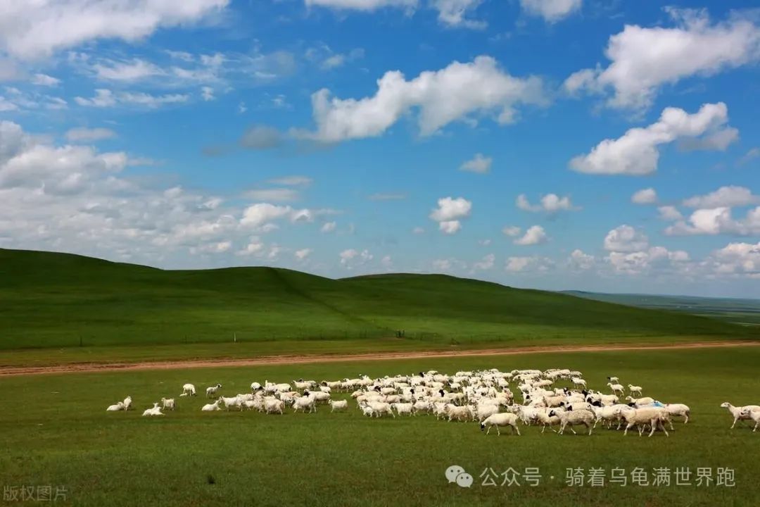 内蒙多伦草原旅游攻略_多伦草原自驾游_内蒙古多伦草原民宿