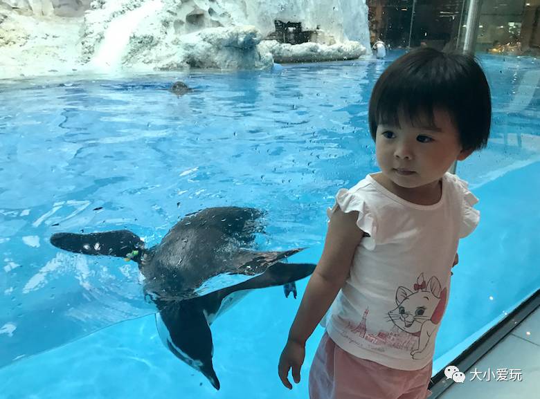 珠海长隆亲子旅游攻略_珠海长隆亲子游攻略两日游攻略_珠海长隆亲子2天游套票
