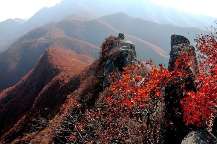 冰峪沟官网_沟峪滩村_冰峪沟旅游攻略