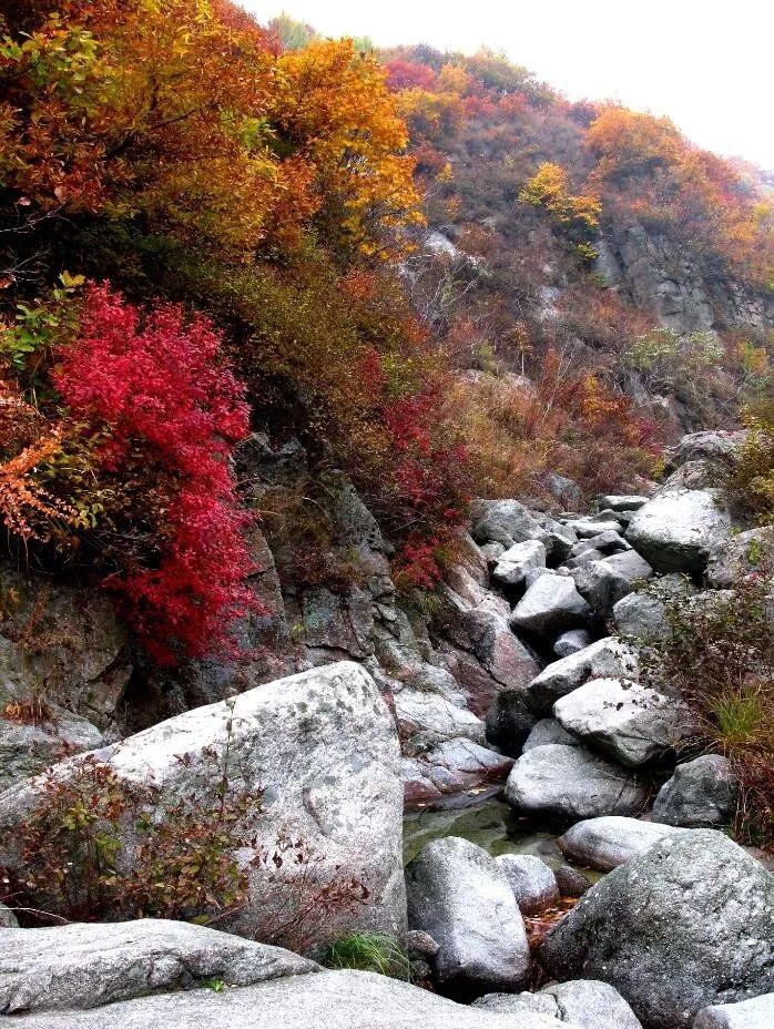 冰峪沟旅游攻略_沟峪滩村_冰峪沟官网