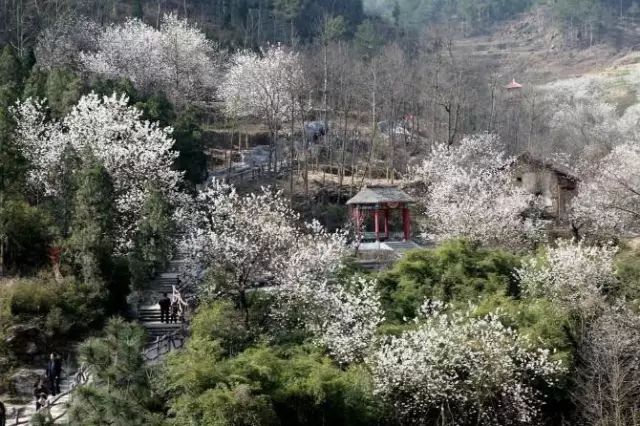 十堰市旅游攻略景点必去_十堰旅游网_十堰市旅游攻略