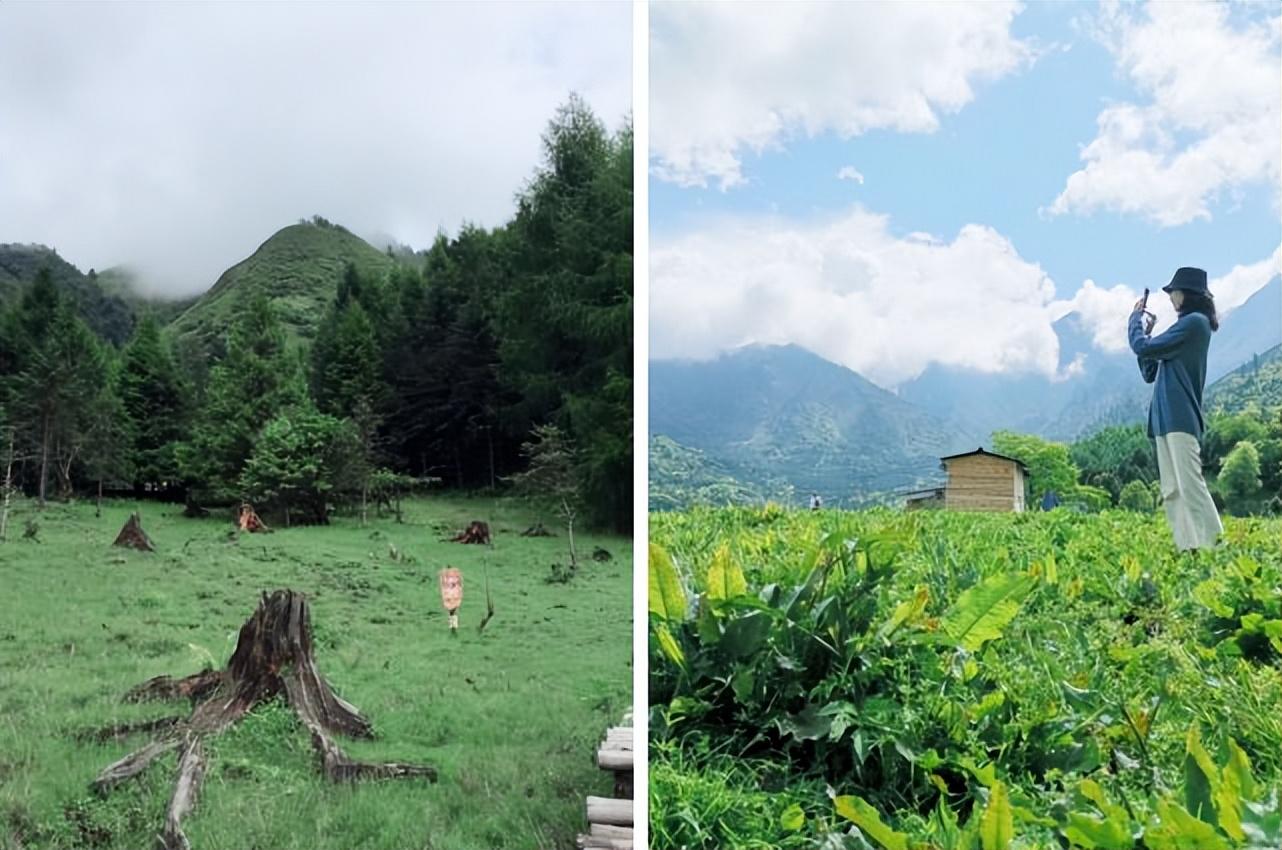 雅安旅游攻略_攻略旅游雅安的路线_雅安旅行攻略