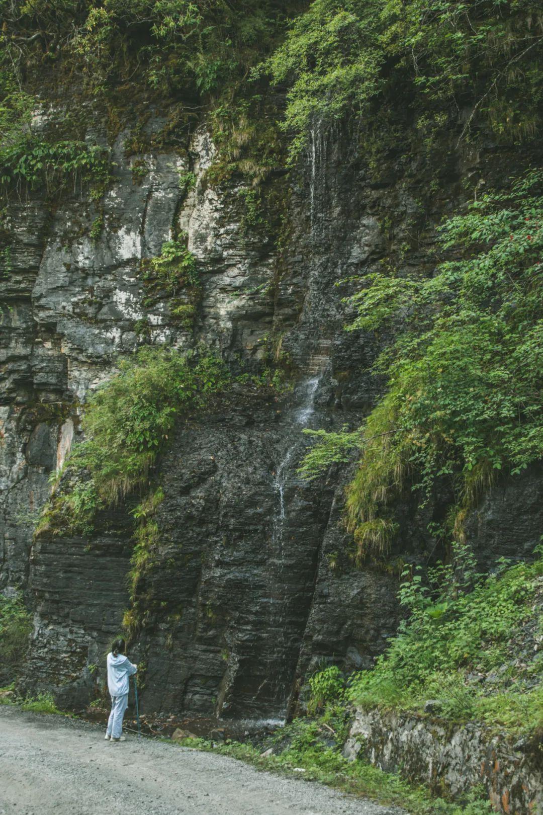 雅安旅行攻略_攻略旅游雅安的路线_雅安旅游攻略